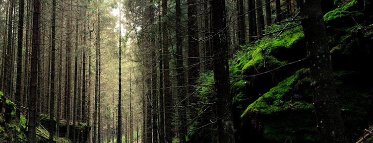 金属粉末有助于可持续发展